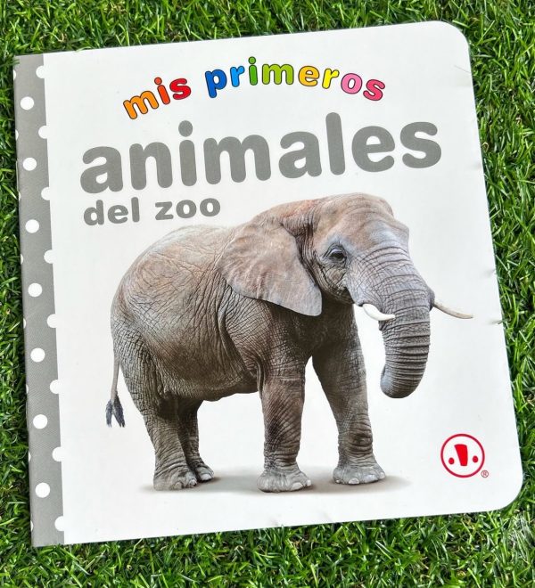 Flashcards
