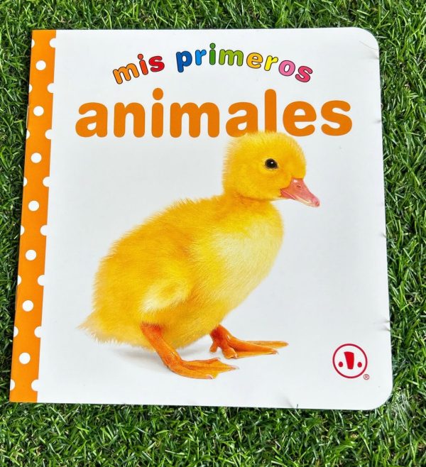 Flashcards